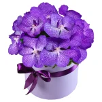 Композиция из 11 орхидей ванда